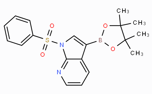 CS12462 | 886547-94-0 | 1-(Phenylsulfonyl)-3-(4,4,5,5-tetramethyl-1,3,2-dioxaborolan-2-yl)pyrrolo[2,3-b]pyridine