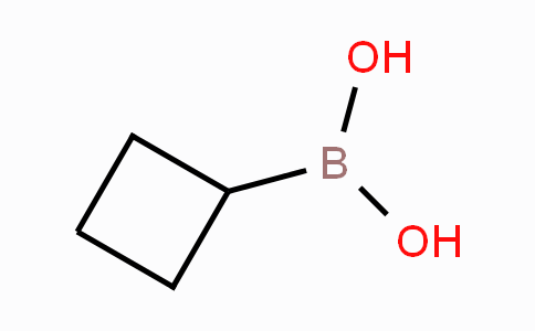 CS12533 | 849052-26-2 | Cyclobutylboronic acid