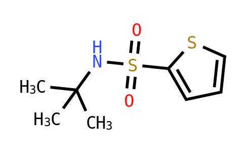 CAS No. 100342-30-1, N-tert-Butyl-2-thiophenesulfonamide