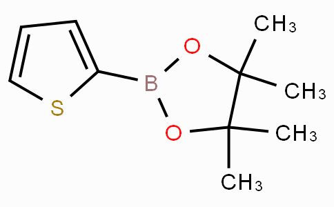 CS11173 | 193978-23-3 | 2-(4,4,5,5-テトラメチル-1,3,2-ジオキサボロラン-2-イル)チオフェン