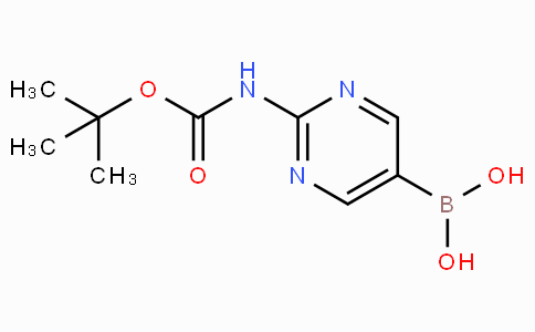 883231-25-2 | (2-((tert-Butoxycarbonyl)amino)pyrimidin-5-yl)boronic acid