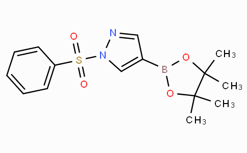 CAS No. 1073372-04-9, 1-(Phenylsulfonyl)-4-(4,4,5,5-tetramethyl-1,3,2-dioxaborolan-2-yl)-1H-pyrazole