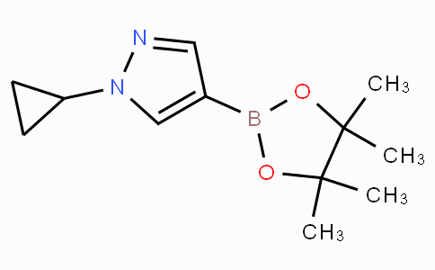 CAS No. 1151802-22-0, 1-Cyclopropyl-4-(4,4,5,5-tetramethyl-1,3,2-dioxaborolan-2-yl)-1H-pyrazole