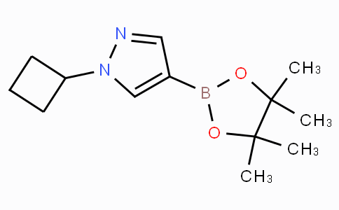 CAS No. 1002309-48-9, 1-Cyclobutyl-4-(4,4,5,5-tetramethyl-1,3,2-dioxaborolan-2-yl)-1H-pyrazole