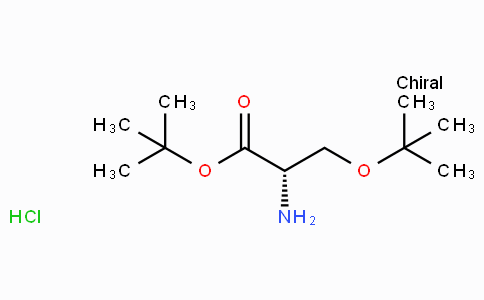 51537-21-4 | (S)-tert-Butyl 2-amino-3-(tert-butoxy)propanoate hydrochloride