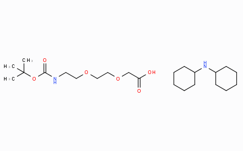 560088-79-1 | 2-[2-(叔丁氧羰基氨基)乙氧基]乙氧基乙酸二环己胺盐