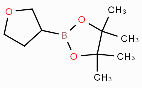 CAS No. 331958-90-8, 4,4,5,5-Tetramethyl-2-(tetrahydrofuran-3-yl)-1,3,2-dioxaborolane