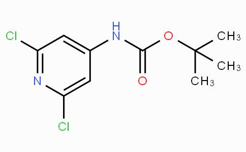 CAS No. 501907-61-5, tert-Butyl (2,6-dichloropyridin-4-yl)carbamate