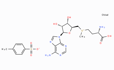 52248-03-0 | ((S)-3-Amino-3-carboxypropyl)(((2S,3S,4R,5R)-5-(6-amino-9H-purin-9-yl)-3,4-dihydroxytetrahydrofuran-2-yl)methyl)(methyl)sulfonium 4-methylbenzenesulfonate