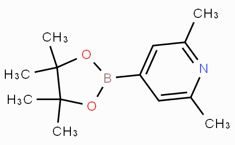 CAS No. 325142-95-8, 2,6-Dimethyl-4-(4,4,5,5-tetramethyl-1,3,2-dioxaborolan-2-yl)pyridine