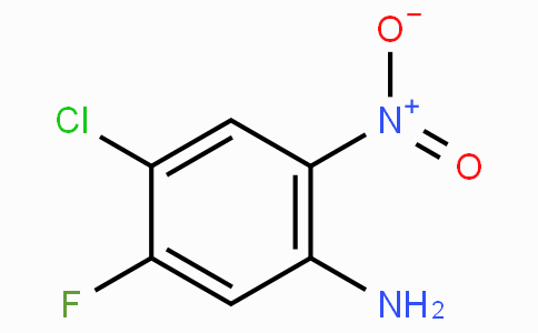 CS16273 | 428871-64-1 | 4-Chloro-5-fluoro-2-nitroaniline