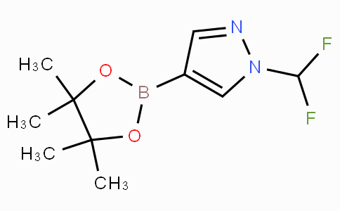 CAS No. 1206640-82-5, 1-(二氟甲基)-4-(4,4,5,5-四甲基-1,3,2-二噁硼烷-2-基)-1H-吡唑