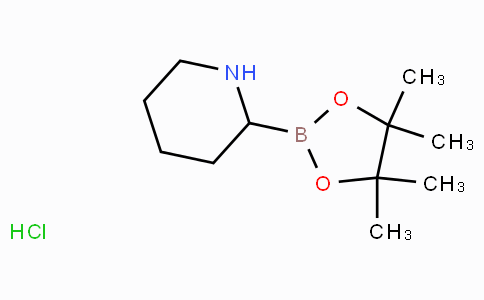 811439-31-3 | 2-(4,4,5,5-Tetramethyl-1,3,2-dioxaborolan-2-yl)piperidine hydrochloride