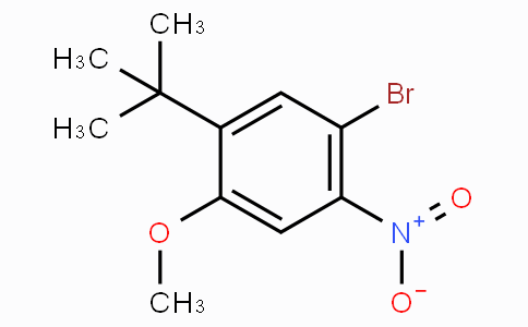 CAS No. 873055-76-6, 1-Bromo-5-(tert-butyl)-4-methoxy-2-nitrobenzene