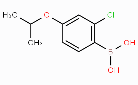 CAS No. 313545-47-0, (2-Chloro-4-isopropoxyphenyl)boronic acid