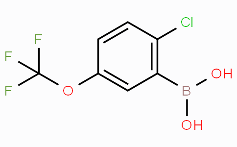 CAS No. 1022922-16-2, (2-Chloro-5-(trifluoromethoxy)phenyl)boronic acid