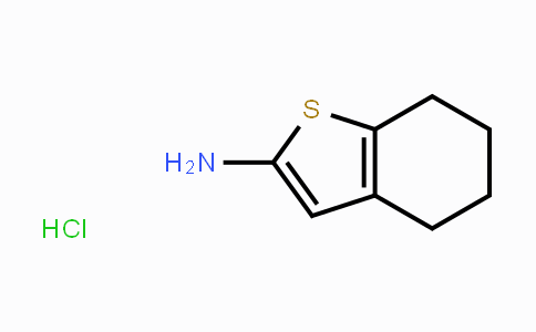 CAS No. 1216102-10-1, 4,5,6,7-Tetrahydrobenzo[b]thiophen-2-amine hydrochloride