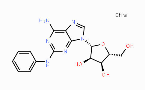 CAS No. 53296-10-9, (2R,3R,4S,5R)-2-(6-Amino-2-(phenylamino)-9H-purin-9-yl)-5-(hydroxymethyl)tetrahydrofuran-3,4-diol