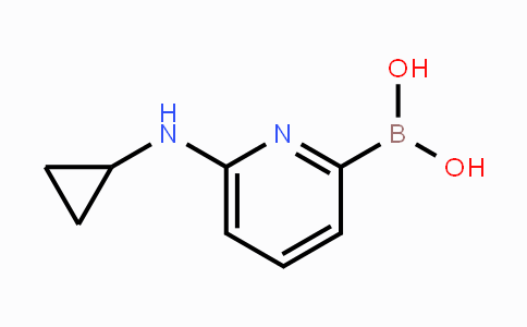 CAS No. 1309982-29-3, (6-(Cyclopropylamino)pyridin-2-yl)boronic acid