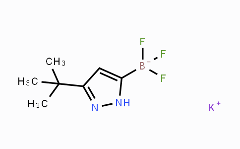 CAS No. 1402242-84-5, Potassium (3-(tert-butyl)-1H-pyrazol-5-yl)trifluoroborate