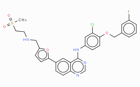 MC10224 | 231277-92-2 | Lapatinib