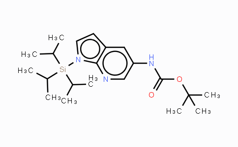 651744-43-3 | 1-Triisopropylsilany-5-(Boc-amino)-7-azaindole
