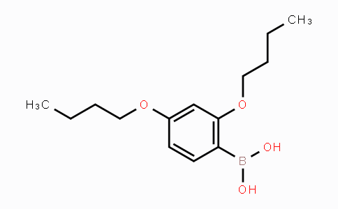 CAS No. 870778-89-5, 2,4-Dibutoxyphenylboronic acid