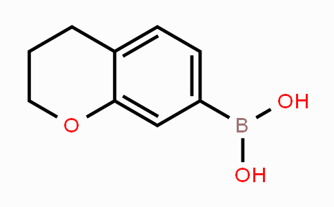 Chroman-7-ylboronic acid