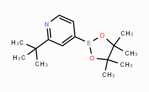 CAS No. 1627722-65-9, 2-(tert-Butyl)-4-(4,4,5,5-tetramethyl-1,3,2-dioxaborolan-2-yl)pyridine