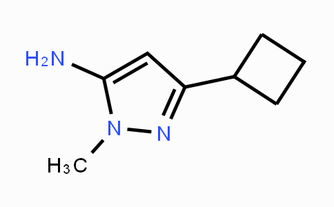 CAS No. 92406-41-2, 5-Amino-3-cyclobutyl-1-methyl-1H-pyrazole