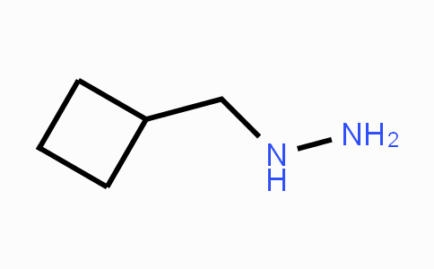 894101-37-2 | 1-(Cyclobutylmethyl)hydrazine