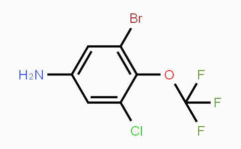 CAS No. 1805486-55-8, 3-Bromo-5-chloro-4-(trifluoromethoxy)aniline