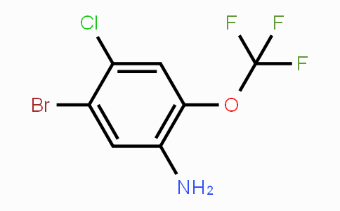 CAS No. 1805139-11-0, 5-Bromo-4-chloro-2-(trifluoromethoxy)aniline