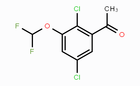 1807183-86-3 | 2',5'-Dichloro-3'-(difluoromethoxy)acetophenone
