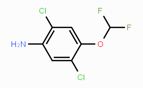 CAS No. 1804421-14-4, 2,5-Dichloro-4-(difluoromethoxy)aniline
