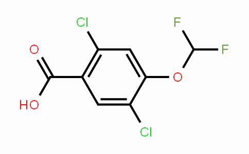 CAS No. 1803817-86-8, 2,5-Dichloro-4-(difluoromethoxy)benzoic acid