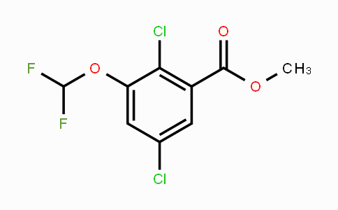 CAS No. 1807059-07-9, Methyl 2,5-dichloro-3-(difluoromethoxy)benzoate