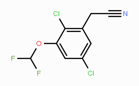 CAS No. 1803717-87-4, 2,5-Dichloro-3-(difluoromethoxy)phenylacetonitrile