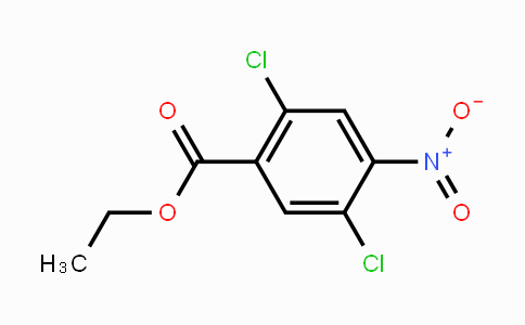 CAS No. 1806367-58-7, Ethyl 2,5-dichloro-4-nitrobenzoate
