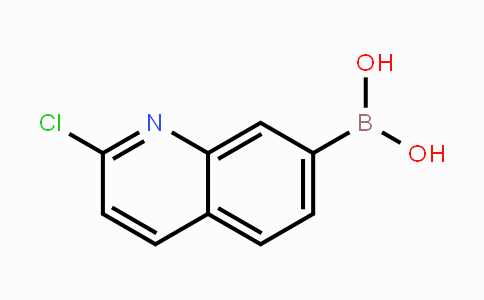 (2-Chloroquinolin-7-yl)boronic acid