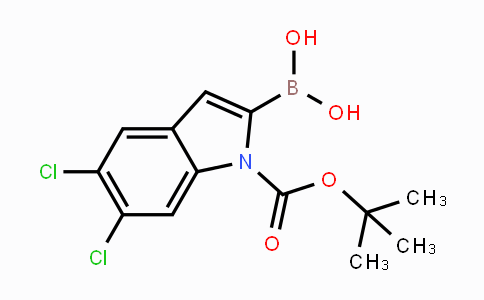 CAS No. 1310384-28-1, 1-Boc-5,6-Dichloro-1H-indole-2-boronic acid