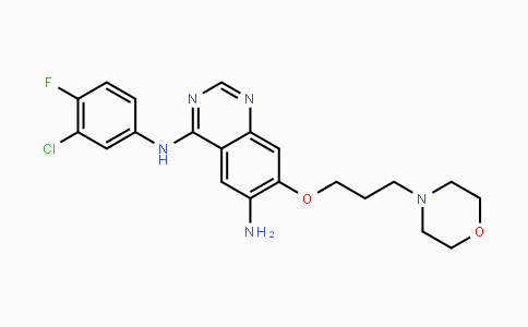 DY113443 | 267243-68-5 | N4-(3-Chloro-4-fluorophenyl)-7-(3-morpholinopropoxy)-quinazoline-4,6-diamine