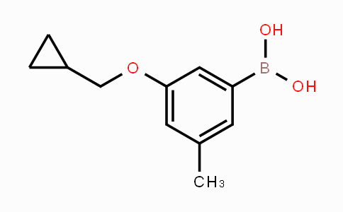 CAS No. 1256345-78-4, (3-(Cyclopropylmethoxy)-5-methylphenyl)boronic acid