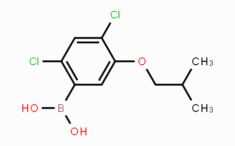 CAS No. 1256346-46-9, (2,4-Dichloro-5-isobutoxyphenyl)boronic acid