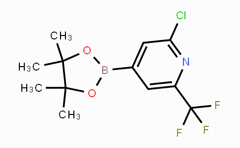 CAS No. 1218790-05-6, 2-Chloro-4-(4,4,5,5-tetramethyl-1,3,2-dioxaborolan-2-yl)-6-(trifluoromethyl)pyridine