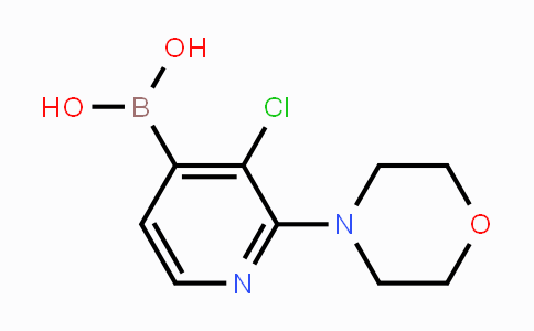 CAS No. 957061-04-0, (3-Chloro-2-morpholinopyridin-4-yl)boronic acid