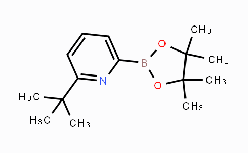CAS No. 1264141-60-7, 2-(tert-Butyl)-6-(4,4,5,5-tetramethyl-1,3,2-dioxaborolan-2-yl)pyridine