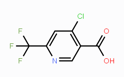 CAS No. 1060810-66-3, 4-Chloro-6-(trifluoromethyl)-pyridine-3-carboxylic acid