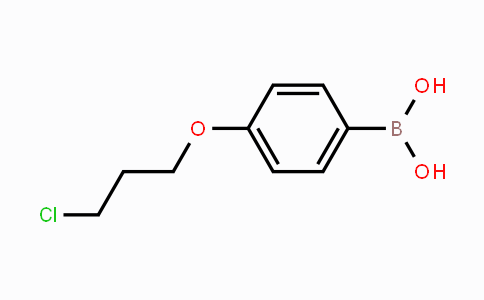 CAS No. 1182283-83-5, (4-(3-Chloropropoxy)phenyl)boronic acid