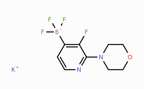 1704704-31-3 | Potassium trifluoro(3-fluoro-2-morpholinopyridin-4-yl)borate